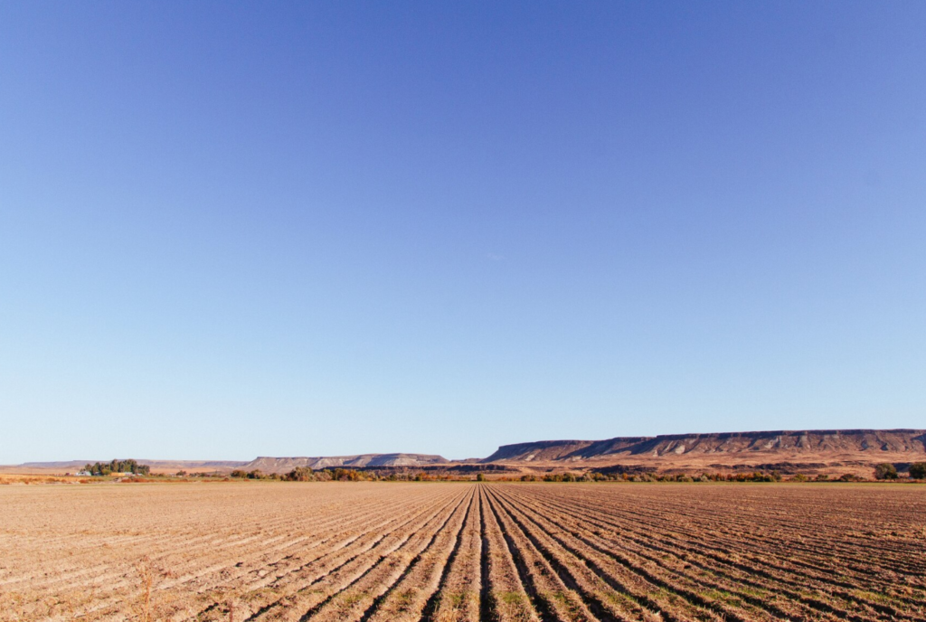 Clear Land