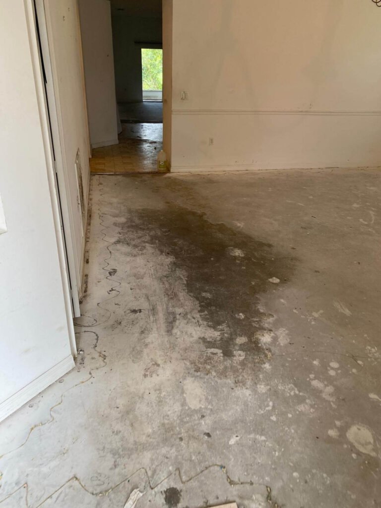 Floor exposed after hoarder home cleanout in Rockledge Florida