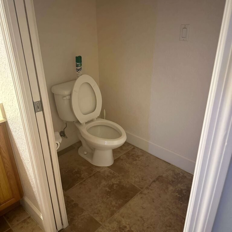 Bathroom demolition showing removed wall finishes and exposed framing