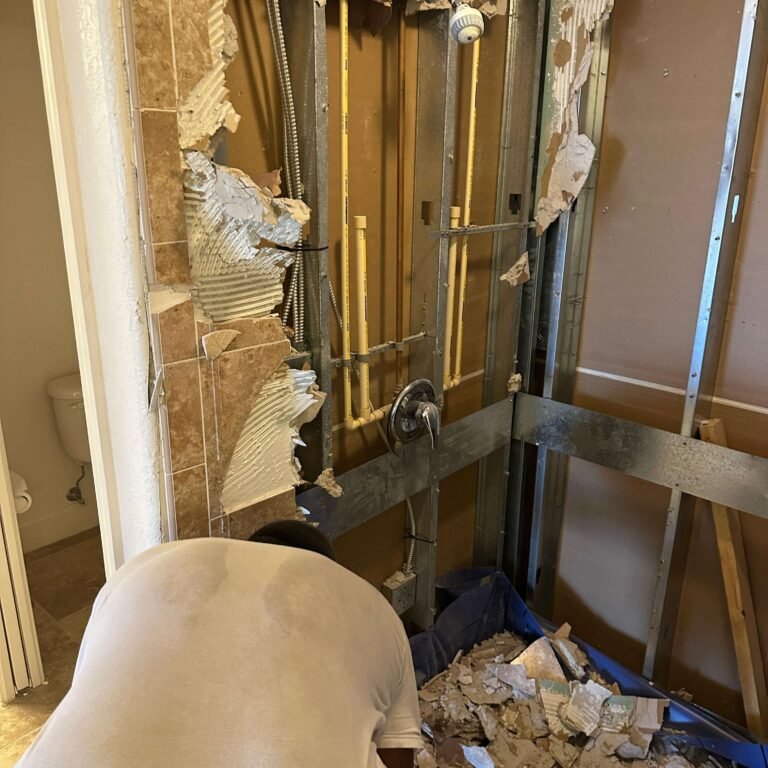 Bathroom demolition exposing plumbing and wall framing