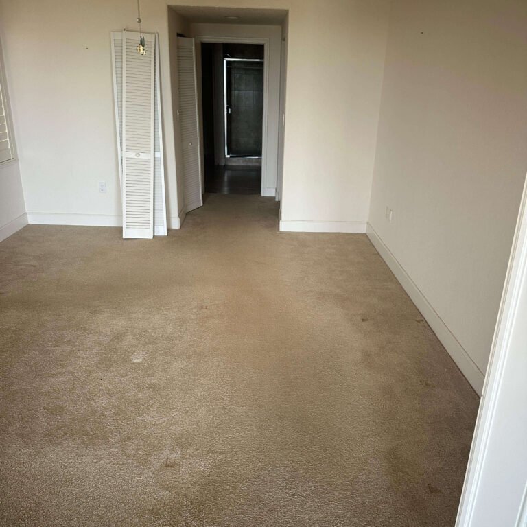 Cleared bedroom with existing carpet remaining