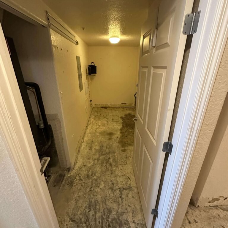 Concrete floor exposed after flooring removal